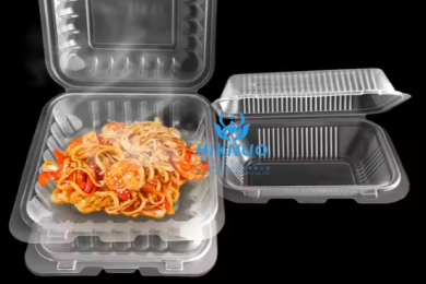 Hinged Container Clear Burger Box